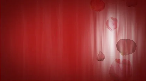 Red Petals 1080  background Stock Footage 50670792