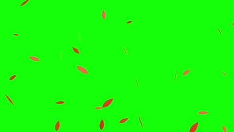 Red Petals Falling on Green Screen Background Stock Footage 341806467
