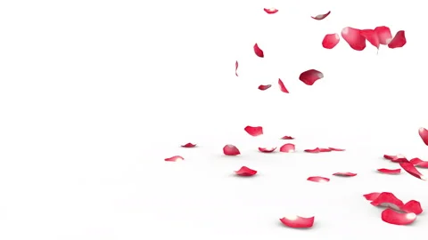 Red petals fluttering to the floor from the side Stock Footage 85907009