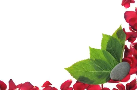 Red petals Stock Photos