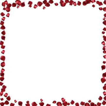 Red petals on a white background. abstract frame with place for text Stock Illustration