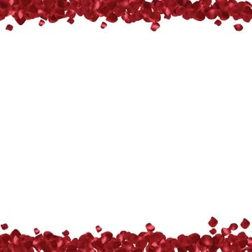 Red petals on a white background. abstract frame with place for text Stock-Illustration