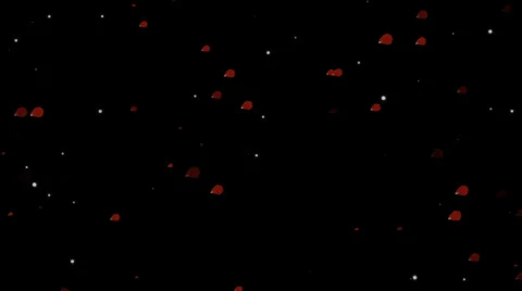 Red Petals White Particls Stock Footage 34209007