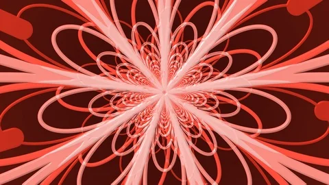 Red Petals Zoom Stock Footage 100475121
