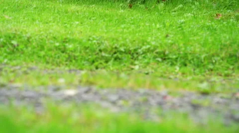 Red piano Video stock 41835967