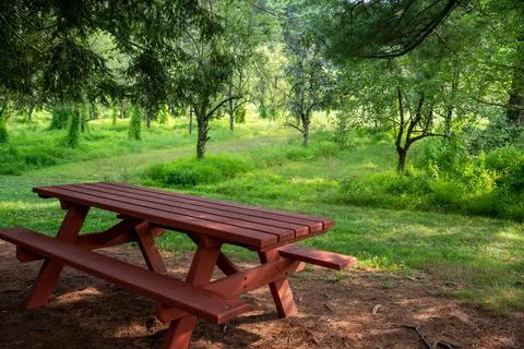 Red picnic table in idyllic summer orchard under shade tree Stock Photos