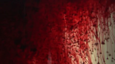 Red pigment gets dissolved in a liquid. Stock Footage 82900509