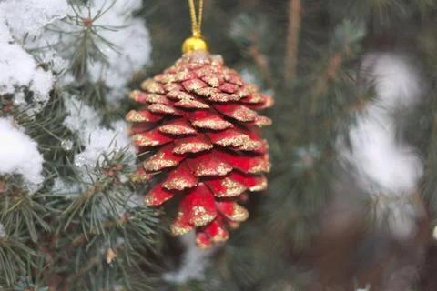 Red pine cone with gold spangles on the snow-covered coniferous tree Stock Photos