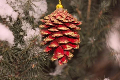 Red pine cone with gold spangles on the snow-covered coniferous tree Foto stock