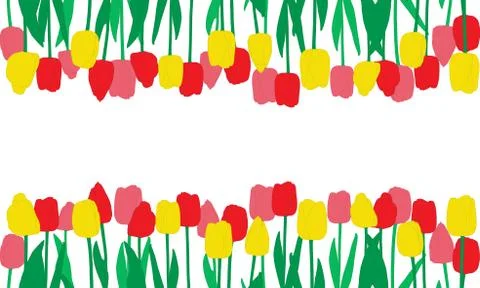 Red, pink and yellow tulips flowers and their reflection, background. Vector  Stock Illustration