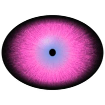 Red pink eye with thin pupil and dark retina. Light purple iris Illustrazione stock