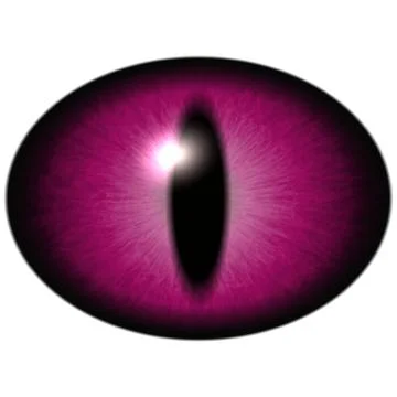 Red pink eye with thin pupil and dark retina. Light purple iris Illustrazione stock
