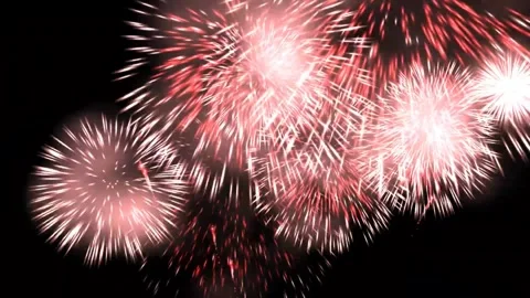 Red Pink Fireworks Explosion Animation Clip Stock Footage 331654816