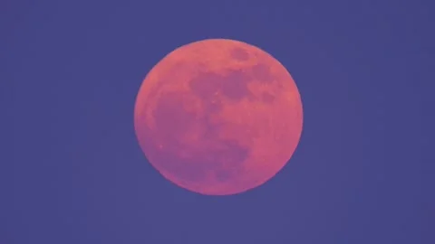 Red pink gradient hued super moon with visible craters fills center of Stock Footage 249983249