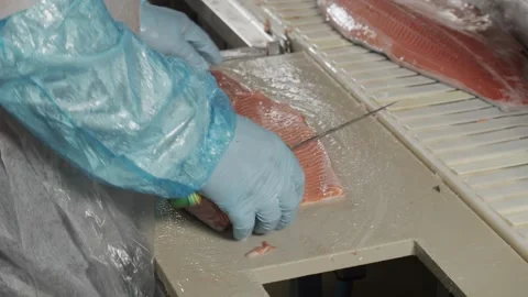 Red pink salmon fish is cut with a knife Stock Footage 253543589