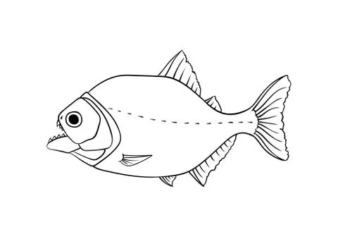 Red piranha vector isolated on white Stock Illustration