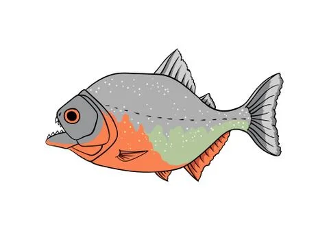 Red piranha vector isolated on white Stock Illustration