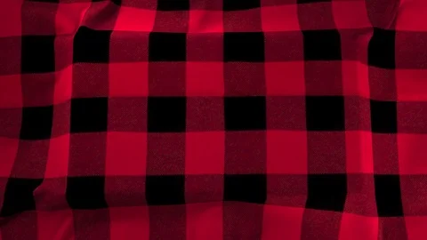 Red Plaid Cloth Reveal Stock Footage 100549795