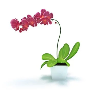 Red plant Stock Illustration