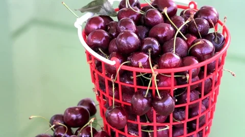 Red plastic basket with cherry Stock Footage 76982904