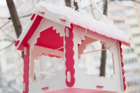 Red plastic bird feeder covered in snow hangs on tree in urban landscape, out Foto stock