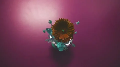 Red plastic blossom. Fake dramatic colors. Fantasy color grading. Stock Footage 137676378