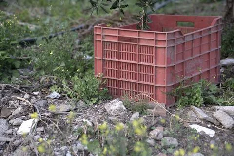 Red plastic box among herbs Stock Photos