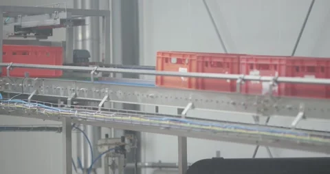 Red plastic crates moving along an elevated conveyor system inside a bright Stock Footage 340002219