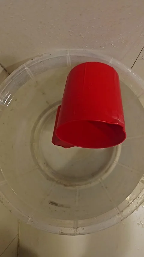 Red plastic cup floating upside down in a clear plastic bucket filled with water Video stock 340913552