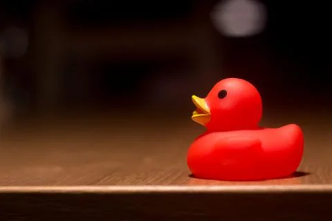 Red Plastic duck with a left copy space. Concept of childhood Stock Photos