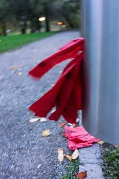 Red plastic hanging from garbage bin in park Stock Photos