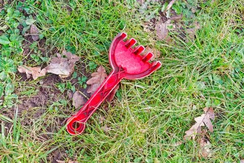 Red plastic toy rake lying on green grass with dry leaves scattered around Stock Photos