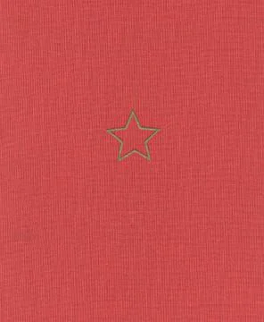 Red plate Foto stock