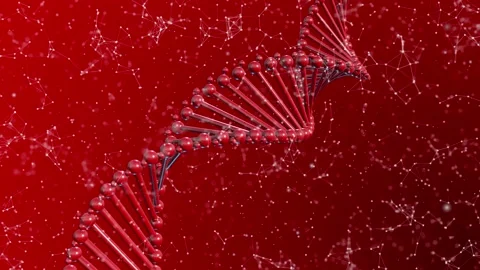 Red Plexus DNA Background Stock Footage 154944901