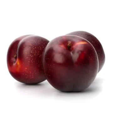 Red plum fruit Stock Photos