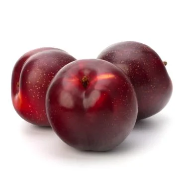 Red plum fruit Stock Photos
