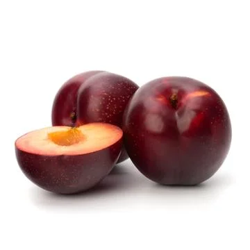 Red plum fruit Stock Photos