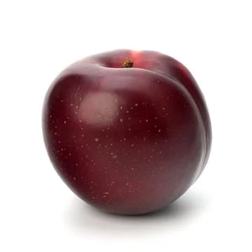 Red plum fruit Stock Photos