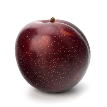 Red plum fruit Stock Photos