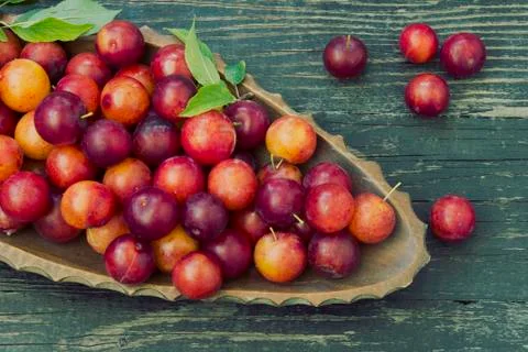 Red plum fruit Stock Photos