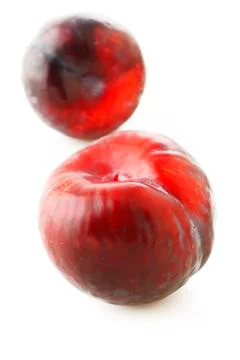 Red plum fruit  on white Stock Photos