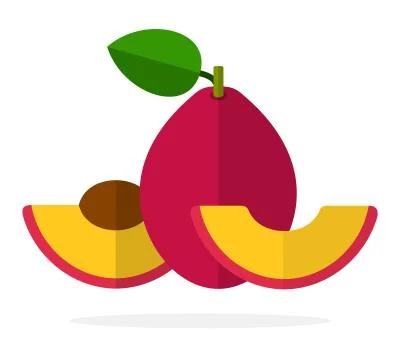 Red plum with a leaf, half plum with a stone and a segment of a plum flat Stock Illustration