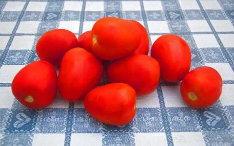 Red plum tomatoes on the table Stock Photos