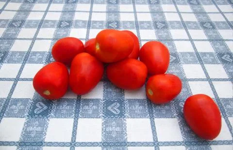 Red plum tomatoes on the table Stock Photos