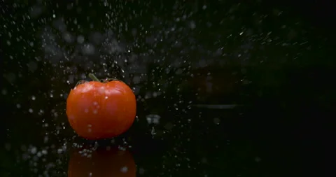 Red plump tomato rolling across water against a black background in soft studio Video stock 199456582