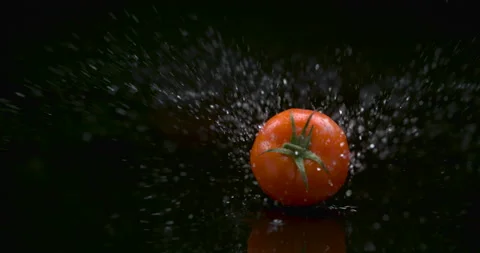Red plump tomato rolling across water against a black background in soft studio Stock Footage 199463618