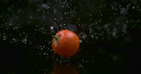 Red plump tomato rolling across water against a black background in soft studio Stock Footage 199463772