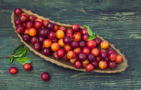 Red plums Stock Photos