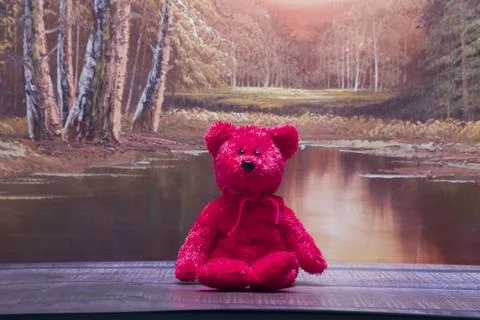 Red plush bear sits calmly on wooden dock Stock Photos