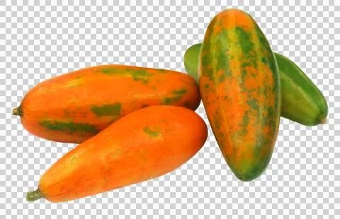 Red Pointed gourd Stock Photos